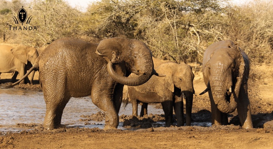 20120814 - Collage 20130715 - E - SIG