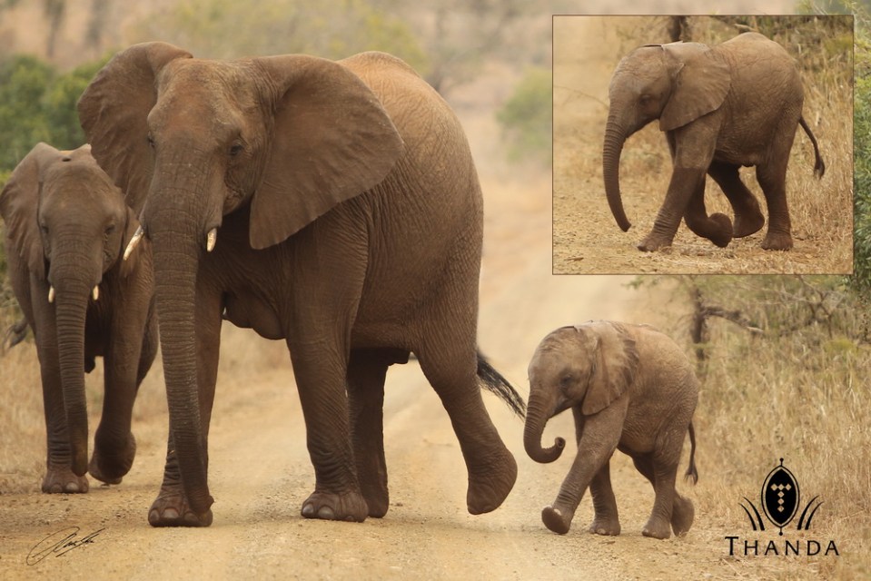 20130717 - Collage 1921 - E - SIG 2