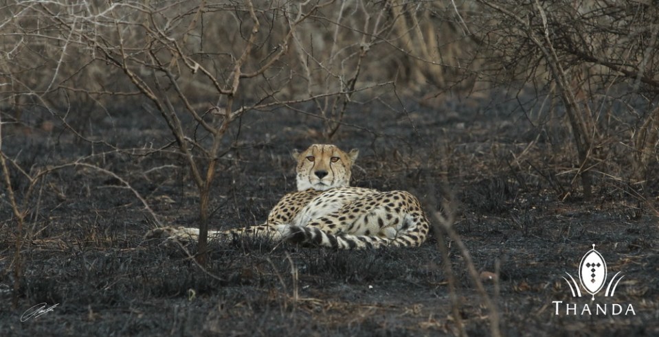 20130721 - CS3_4250 - E - SIG