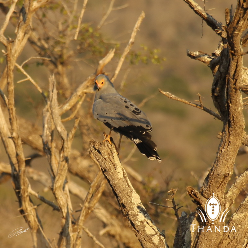 20130731 - CS3_0476 - E - SIG