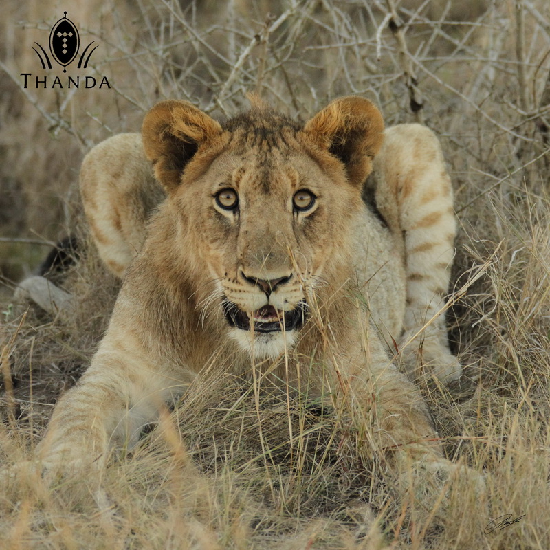 20130803 - CS3_1404 - E - SIG