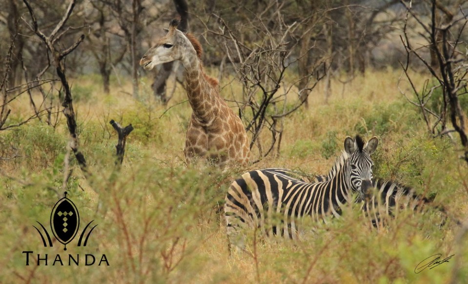 20130804 - CS3_1592 - E - SIG