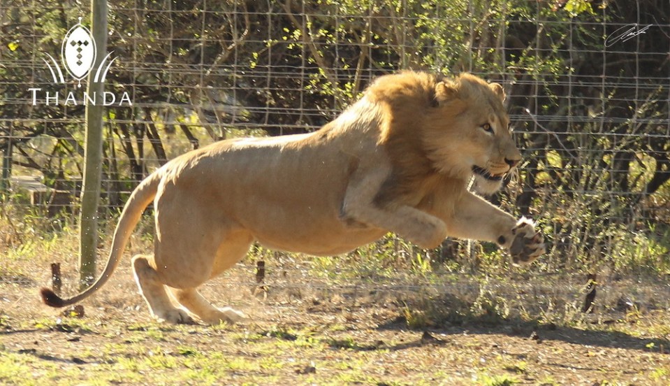 20130806 - CS3_2248 - E - SIG