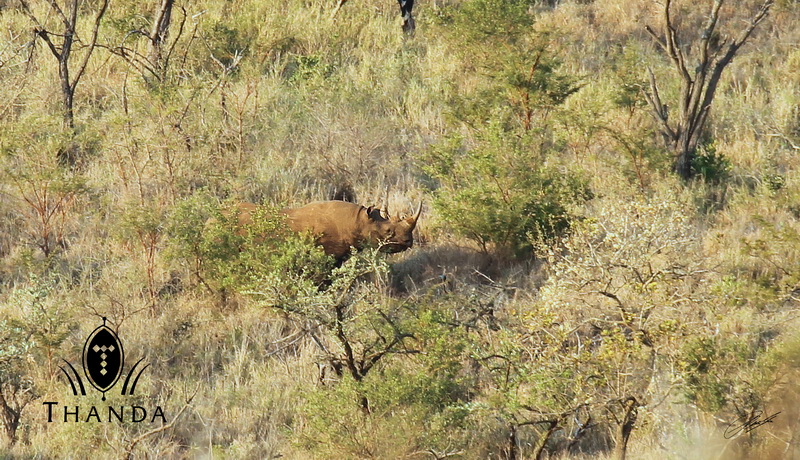 20130812 - CS3_3557 - E - SIG