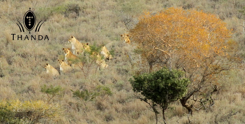 20130812 - CS3_3563 - E - SIG