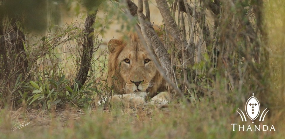 20130813 - CS2_0913 - E - SIG