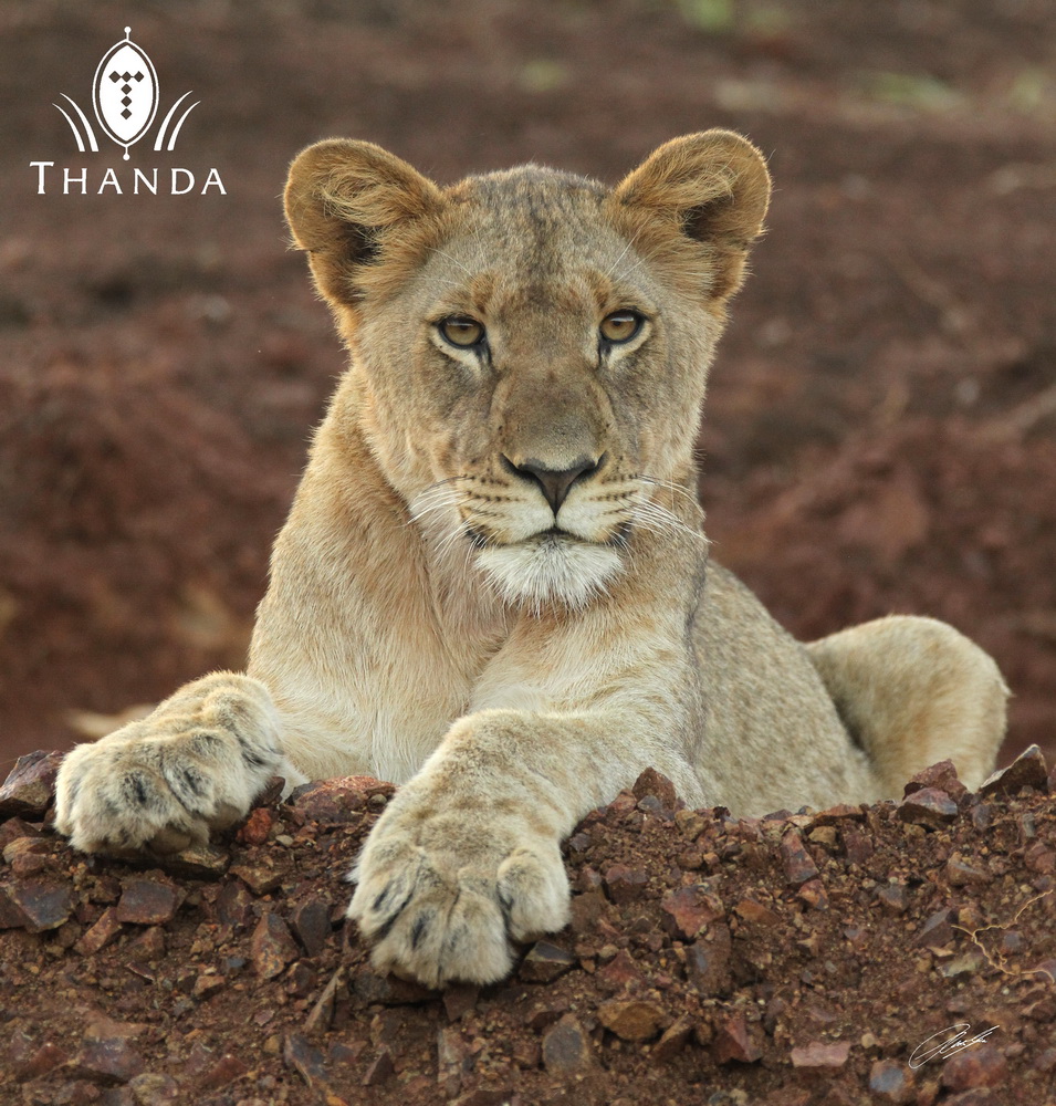 20130819 - CS3_4990 - E - SIG