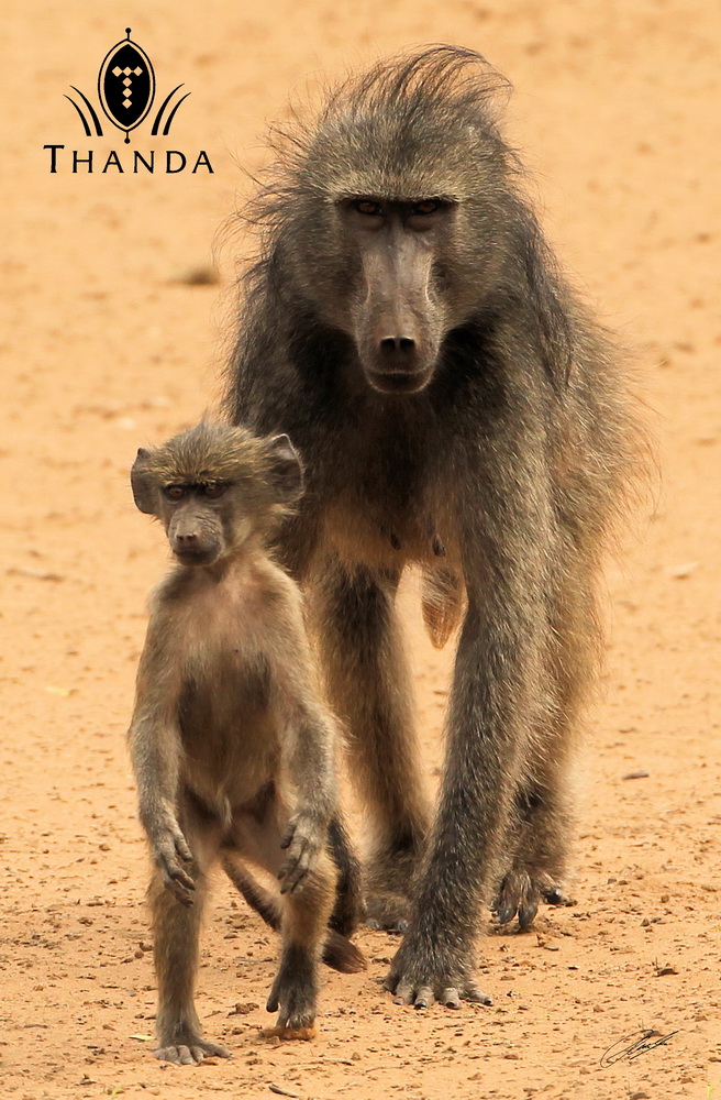 20130823 - CS2_1457 - E - SIG