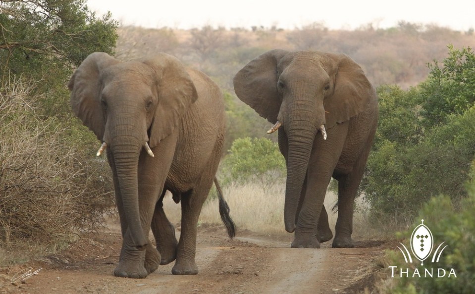 20130829 - CS3_6193 - E - SIG