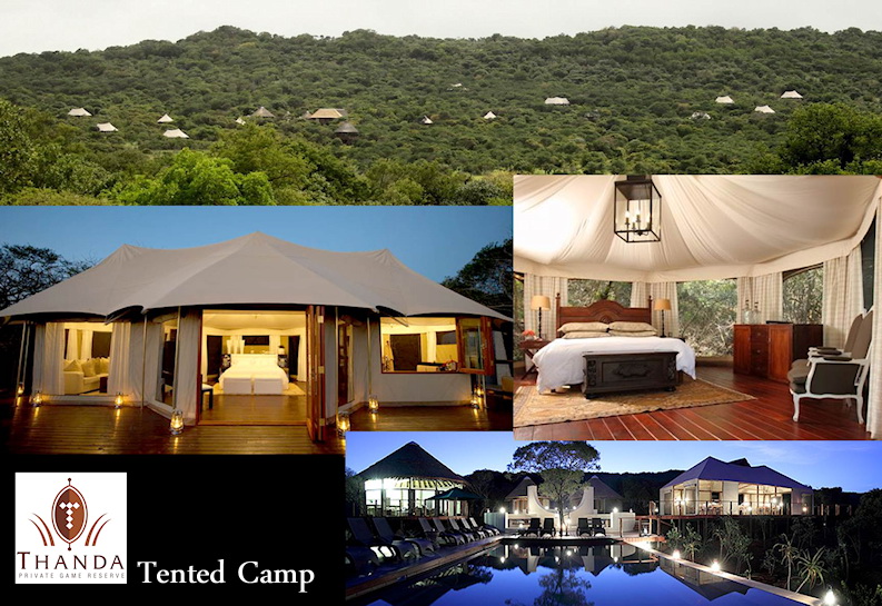 Thanda Tented Camp