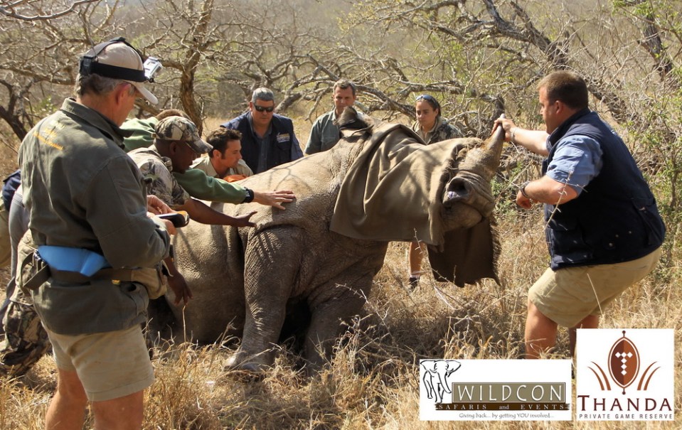 20130908 - CS3_8554 - E - SIG