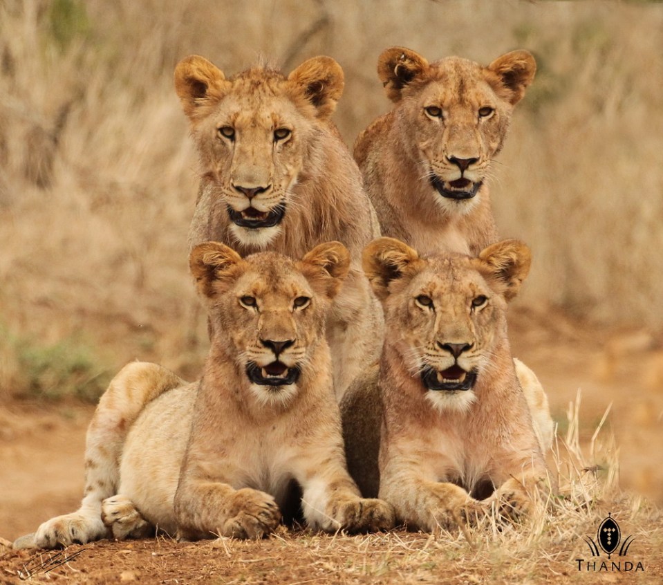 20130926 - CS2_2042 - E - SIG