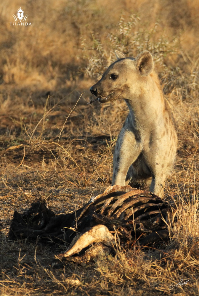 20131001 - CS3_9572 - E - SIG