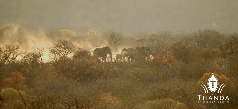 20131004 - CS1_9910 - E - SIG