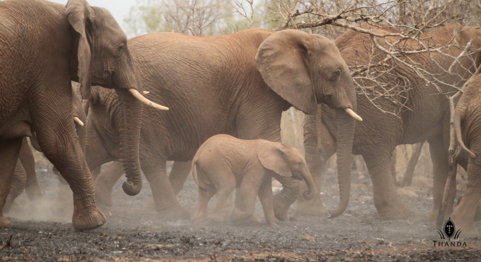 20131006 - CS1_0323 - E - SIG