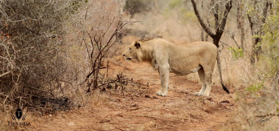 20131006 - CS1_0331 - E - SIG