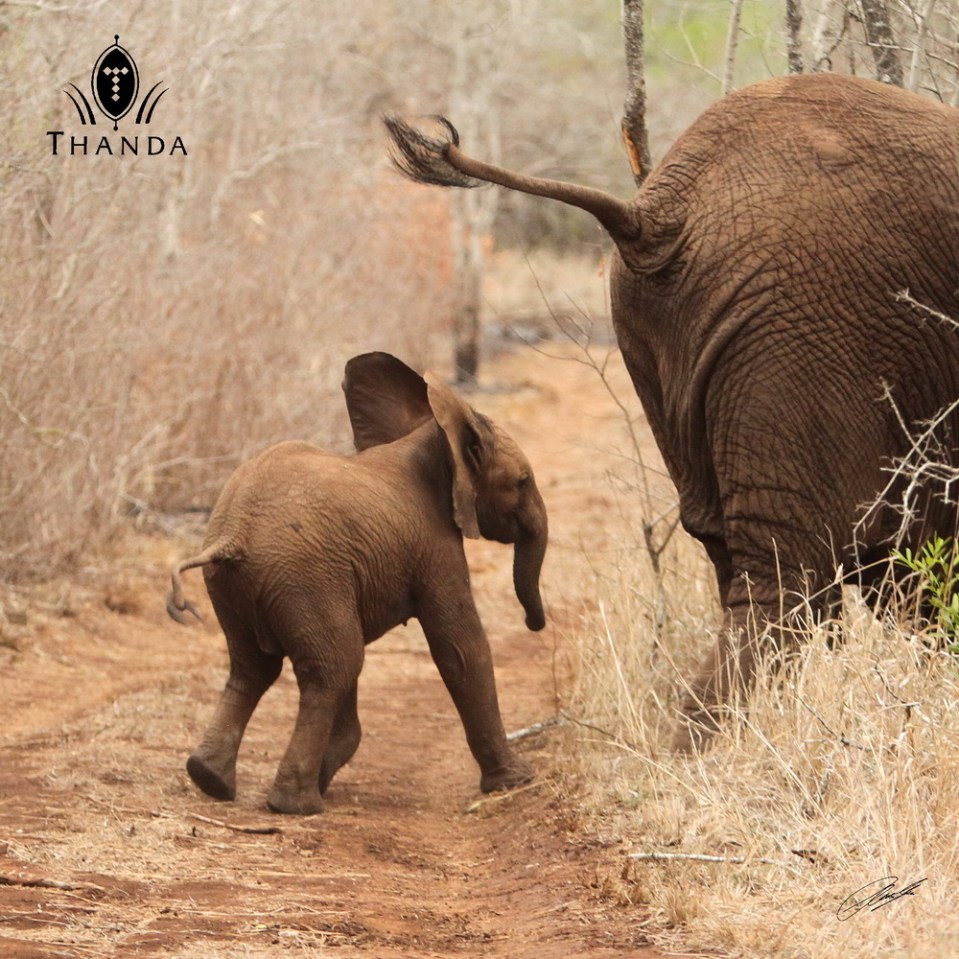 20131006 - CS1_0338 - E - SIG