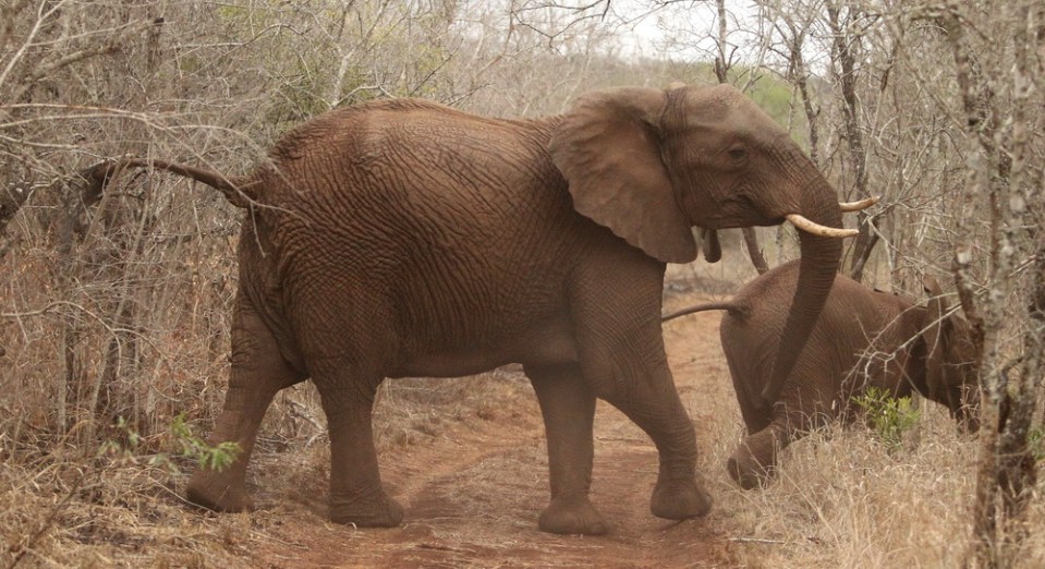 20131006 - CS1_0356 - E