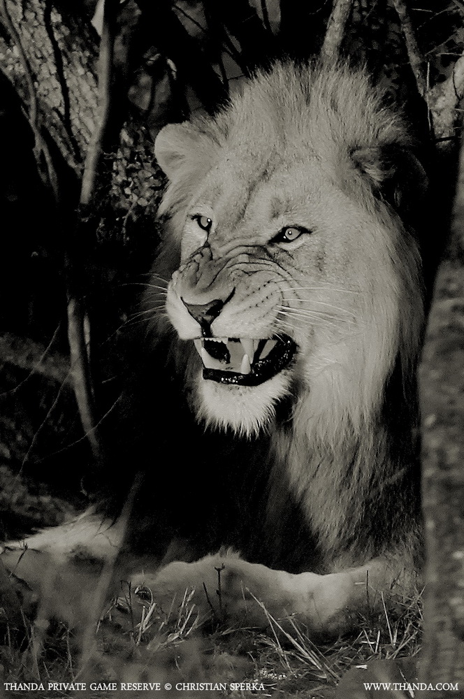 20131015 - CS1_1583 - E - THANDA