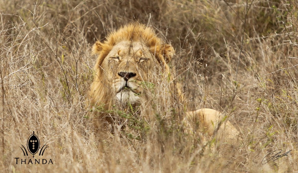 20131023 - CS1_1842 - E - SIG