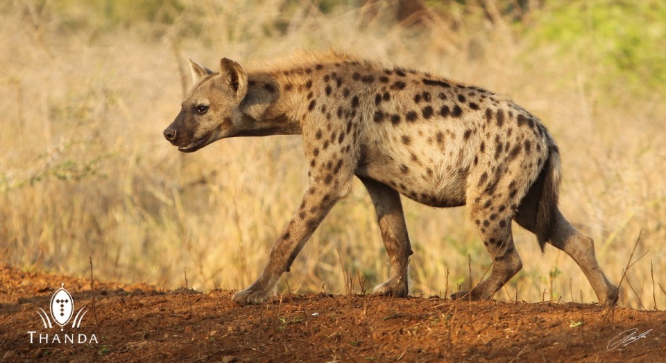 20131024 - CS1_1924 - E - SIG