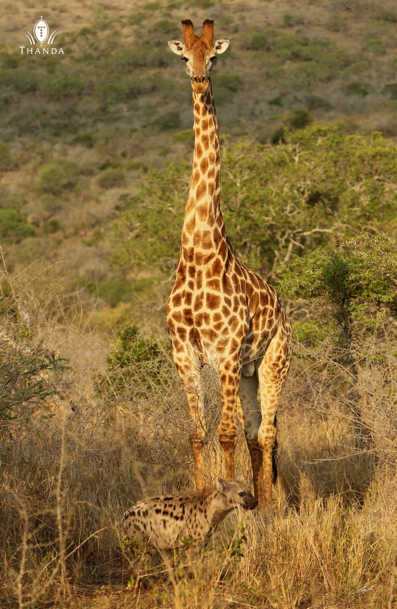 20131024 - CS1_1960 - E - SIG