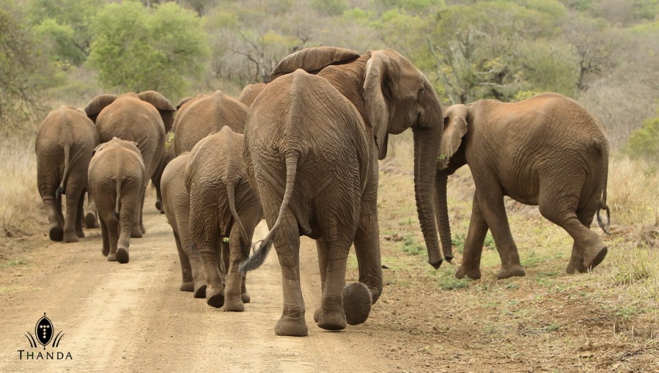 20131024 - CS1_2075 - E - SIG