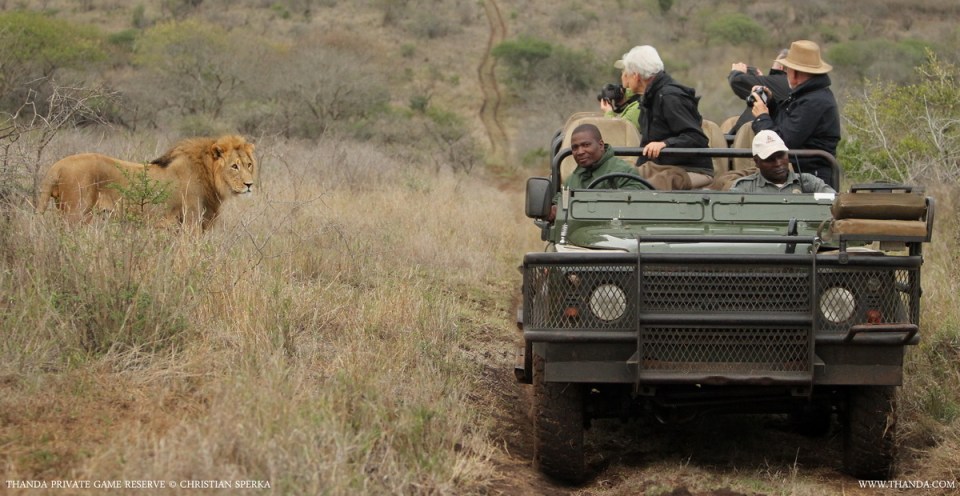 20131028 - Collage 1905 - E - THANDA