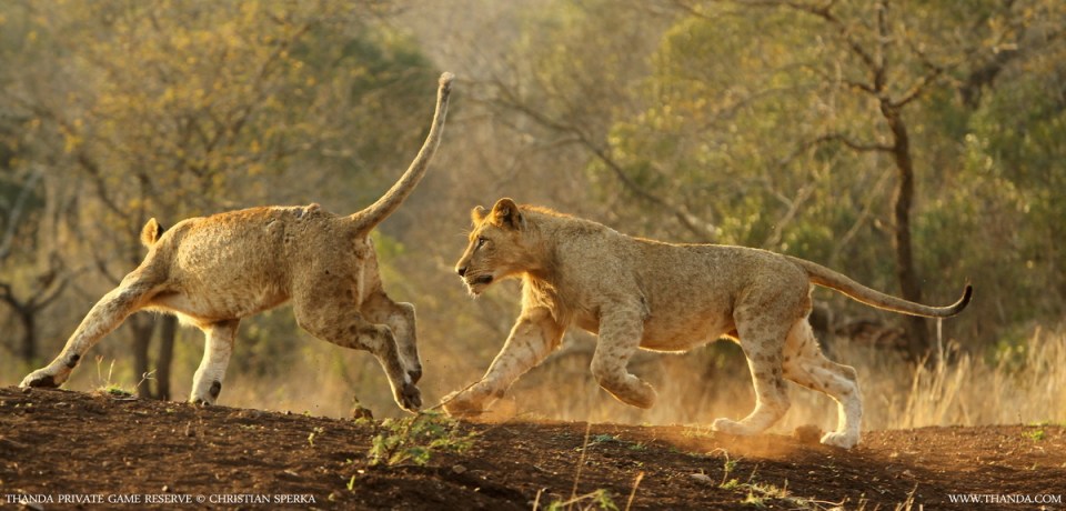 20130830 - CS3_6406 - E - THANDA