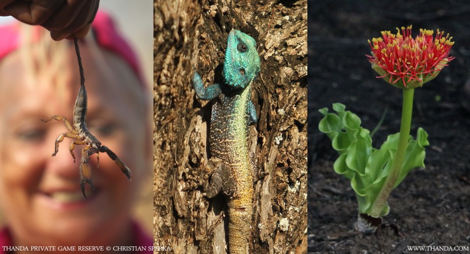 20131101 - Collage 1155 - E - SIG