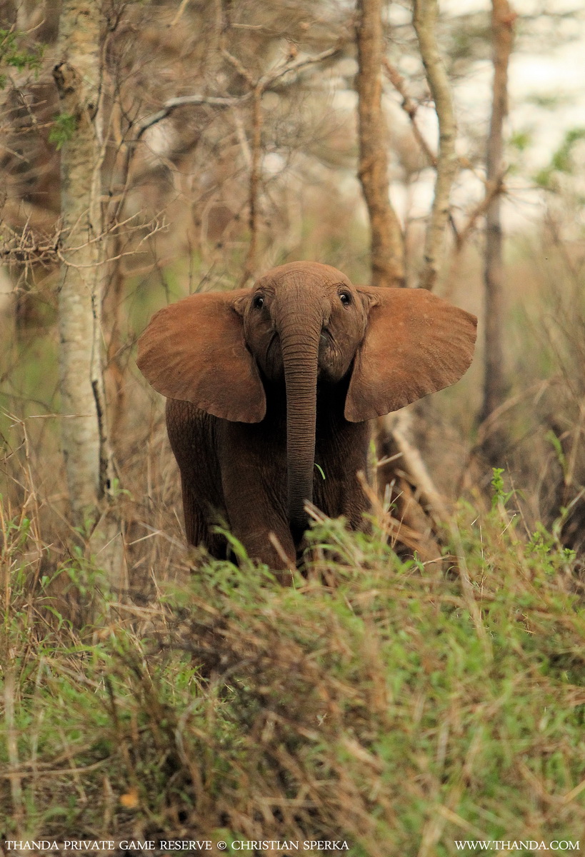 20131101 - CS1_3702 - E - SIG