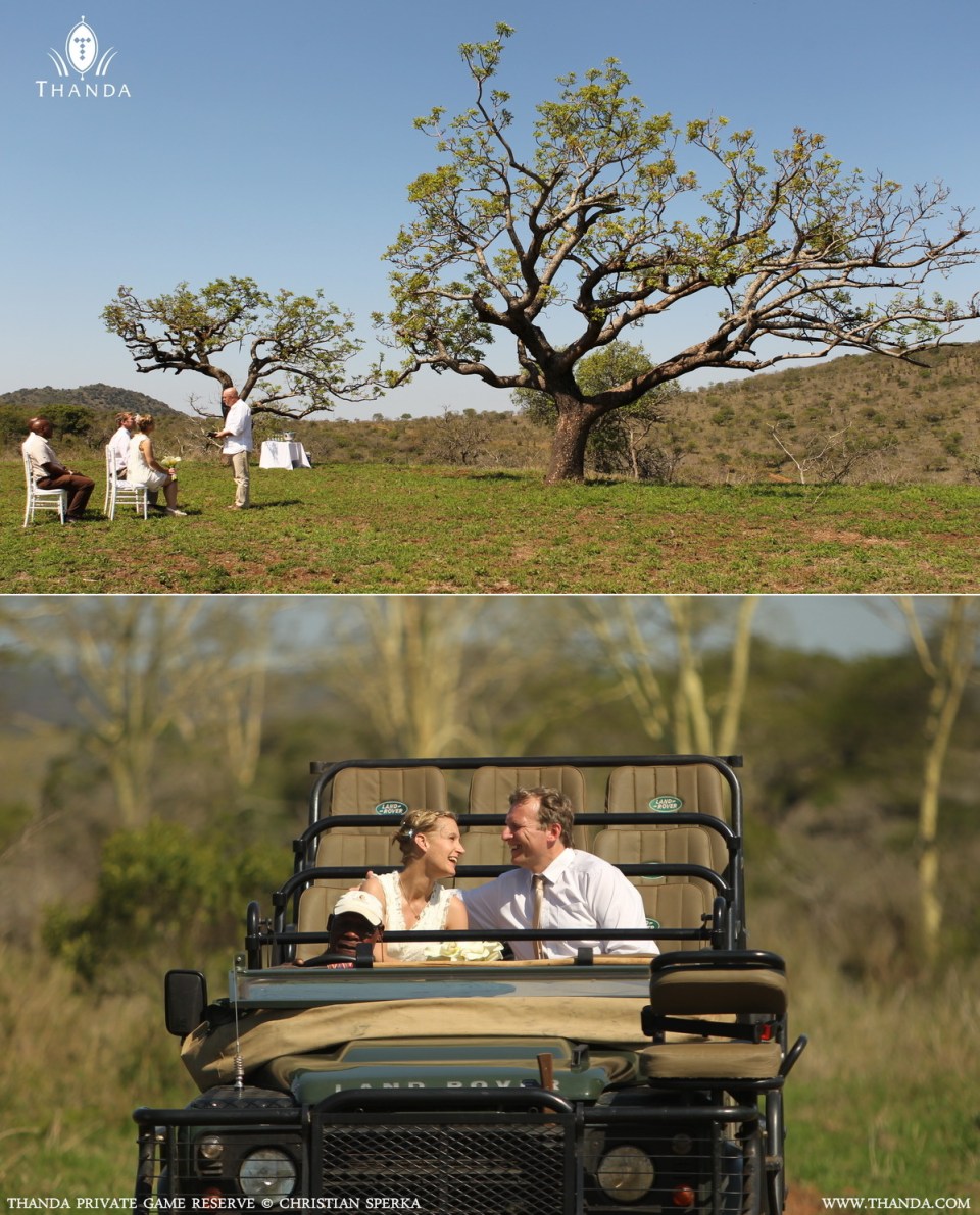 20131104 - Collage 1743 - E