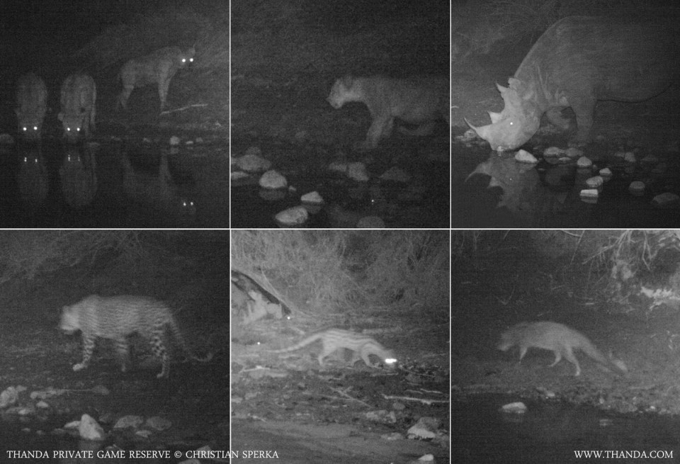 20131119 - Collage 1912 - E