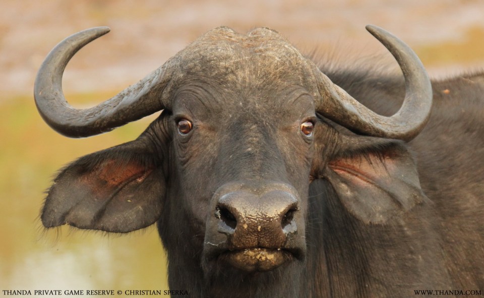 20131125 - CS1_5450 - E - SIG