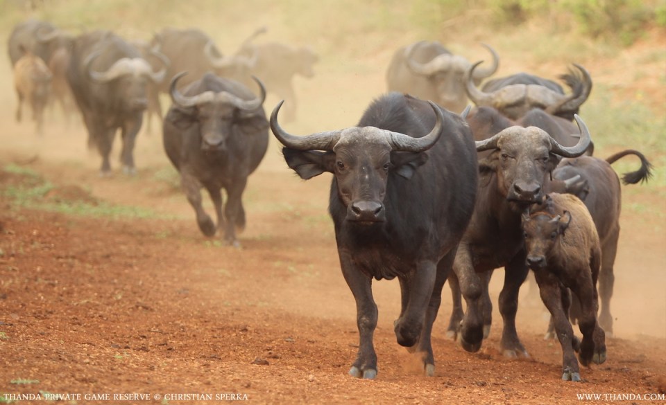 20131125 - CS2_5469 - E - SIG