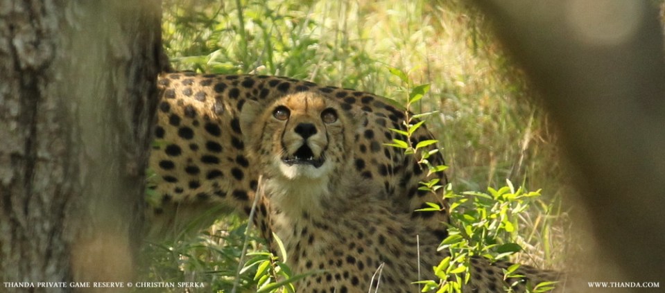 20131126 - CS1_5489 - E - SIG - 400