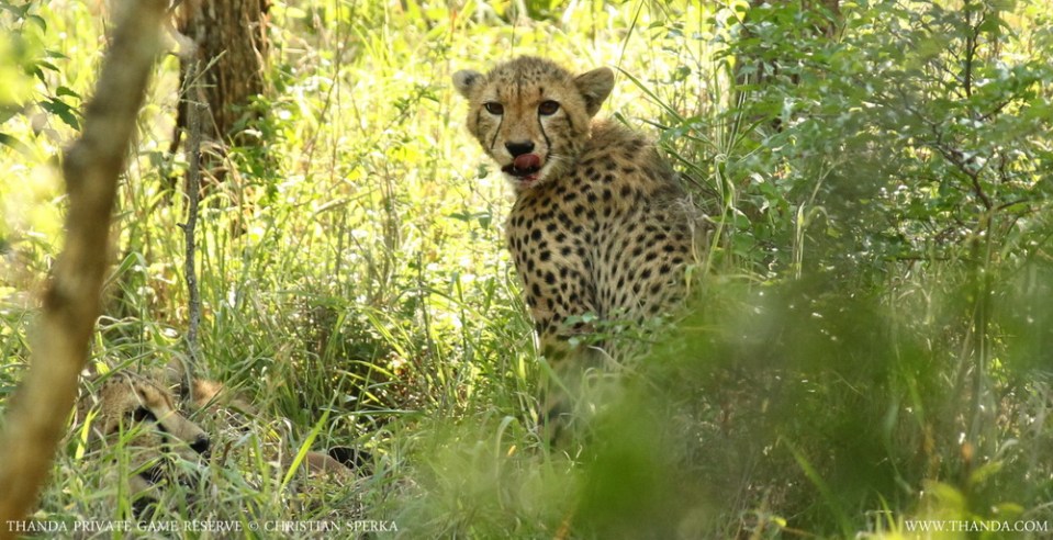 20131126 - CS1_5548 - E - SIG