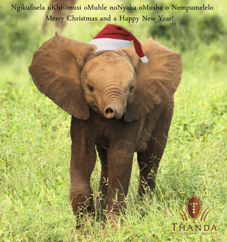 20130131 - CS1_9300 - E9