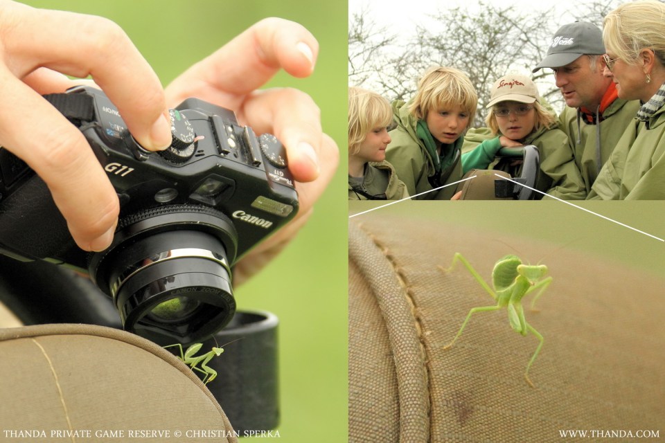 20131230 - Collage 1123 - E - SIG