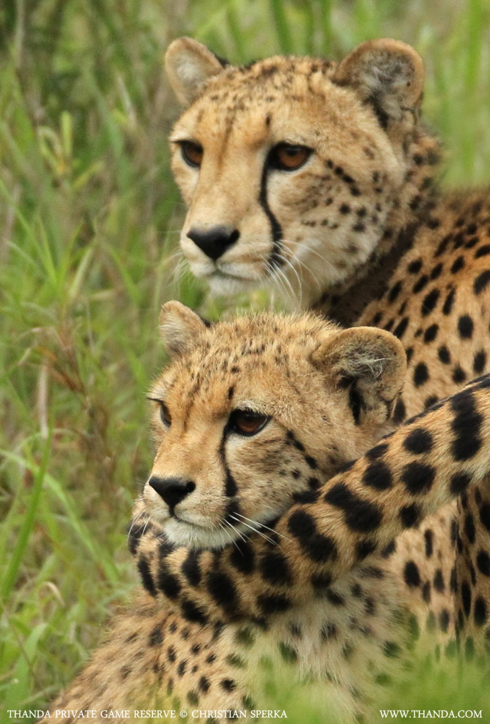 20131219 - CS3_2583 - E - THANDA