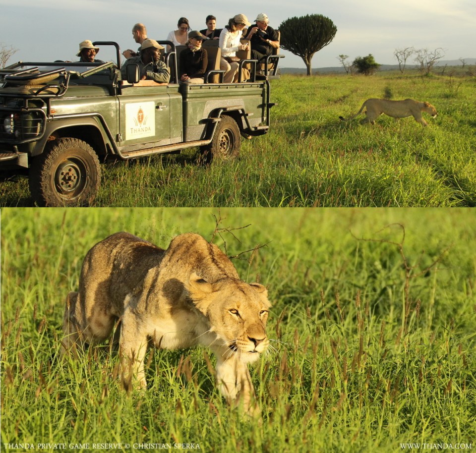 20131223 - Collage 1242 - E - THANDA