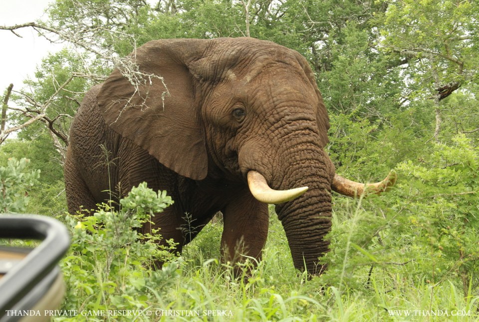 20131229 - CS3_4671 - E - SIG