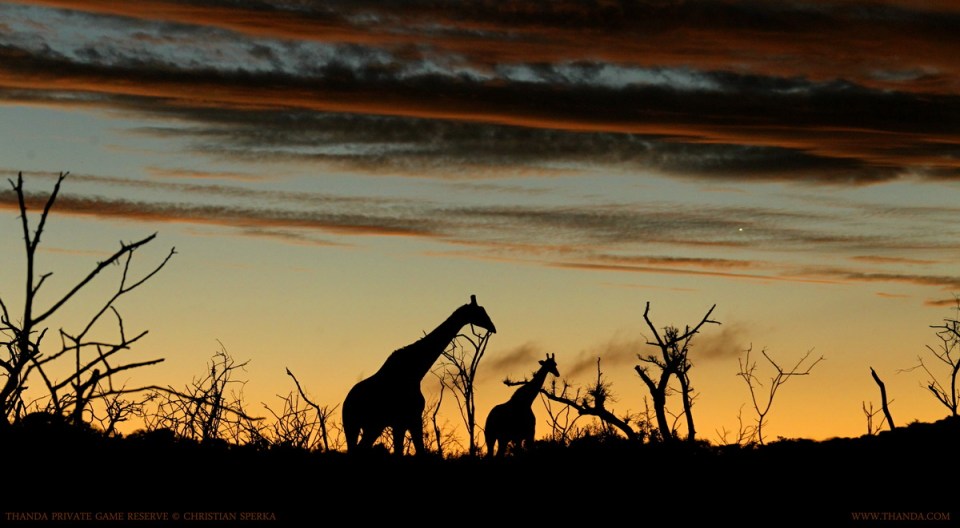 20131230 - CS1_6272 - E - SIG