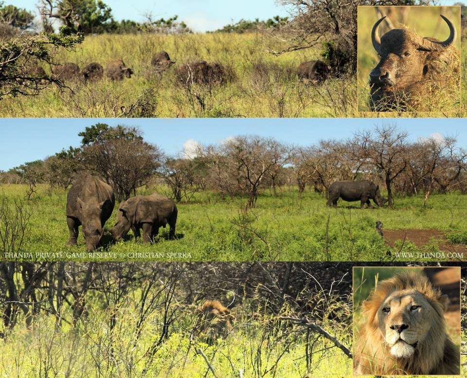 20140105 - Collage 1008 - E - SIG