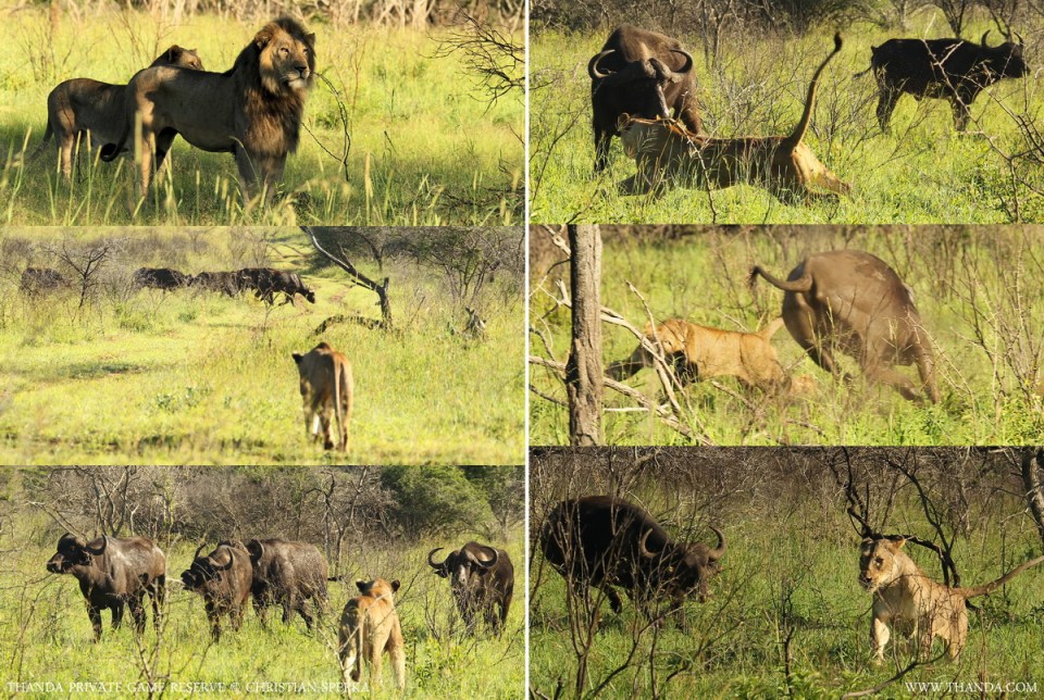 20140105 - Collage 1031 - E