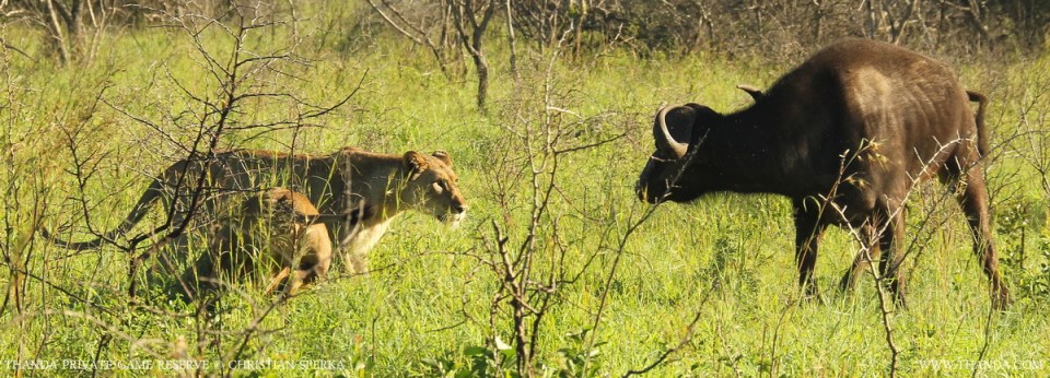 20140105 - CS1_6851 - E - SIG