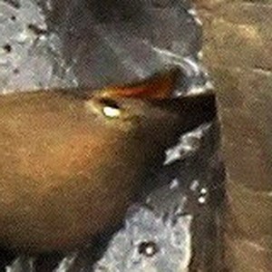 What is that - 20131224 - CS3_3853