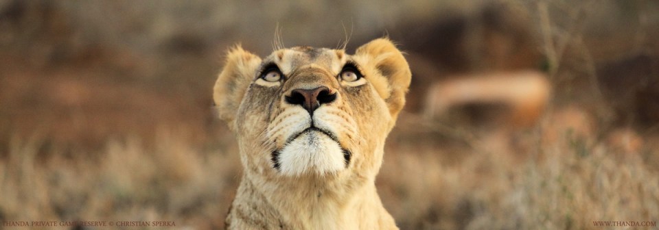 20130904 - CS3_7856 - E - THANDA