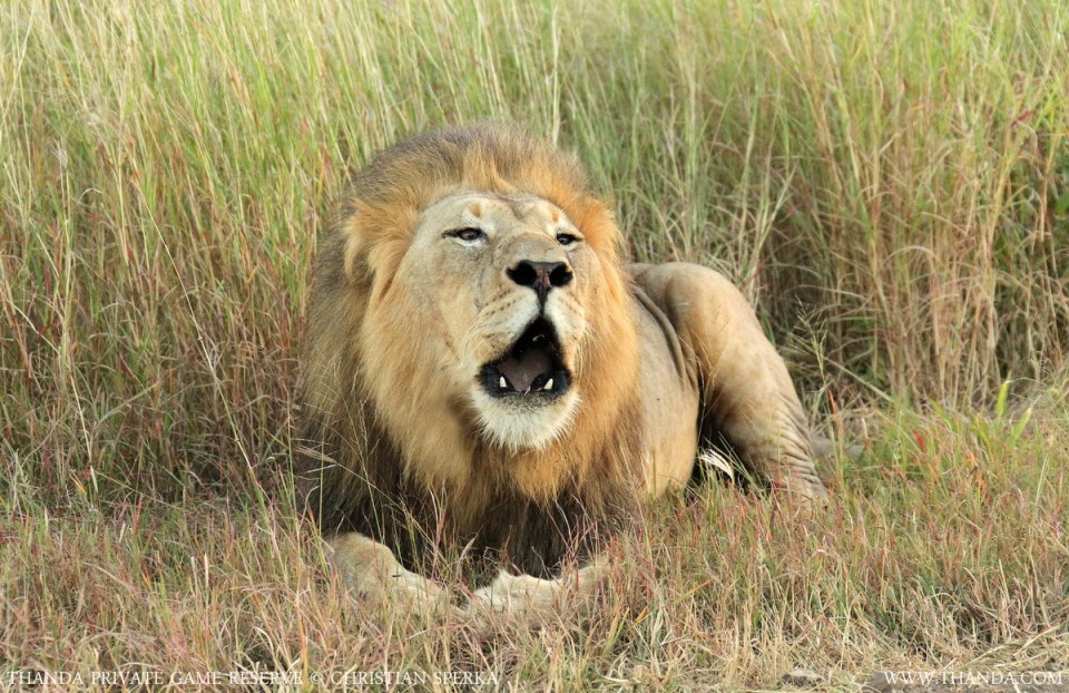 20140222 - CS1_1267 - E - THANDA