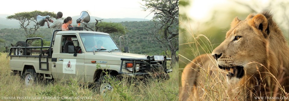 20140301 - CS1_2165 - Collage 1522 - E - THANDA